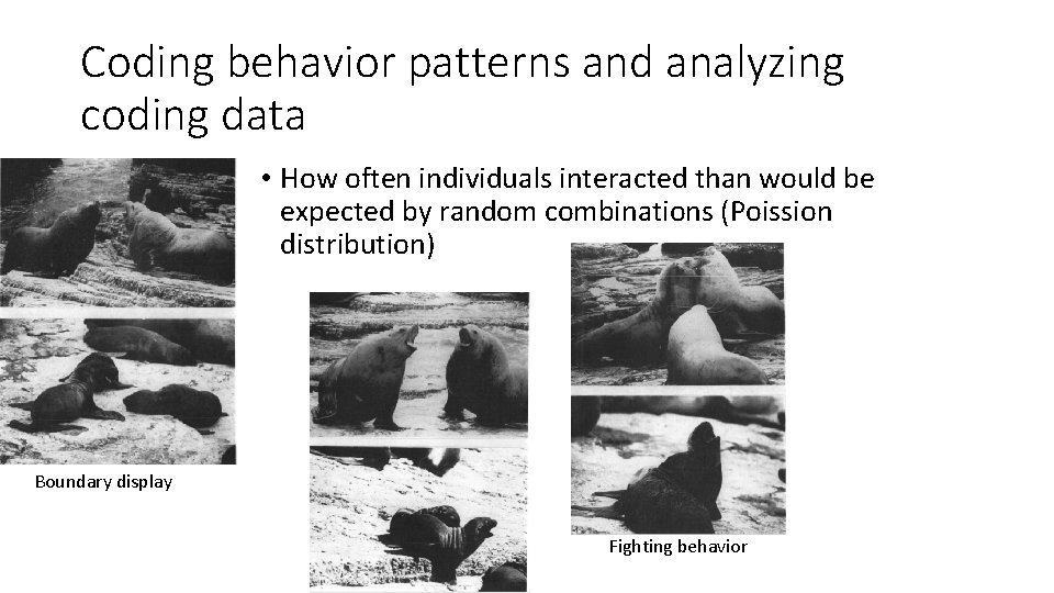 Coding behavior patterns and analyzing coding data • How often individuals interacted than would