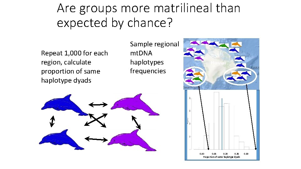 Are groups more matrilineal than expected by chance? Repeat 1, 000 for each region,