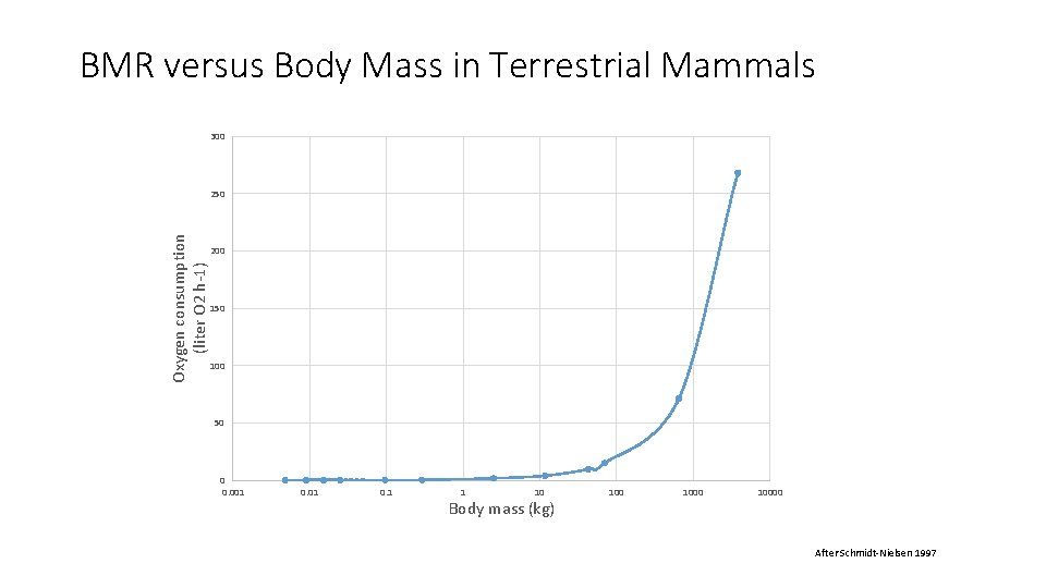 BMR versus Body Mass in Terrestrial Mammals 300 Oxygen consumption (liter O 2 h-1)