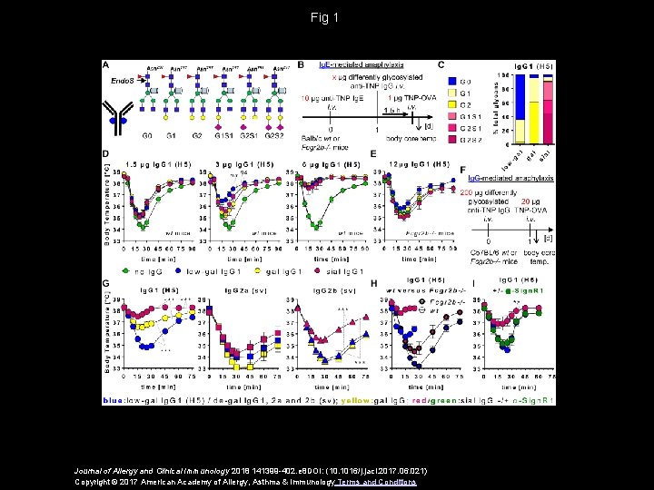 Fig 1 Journal of Allergy and Clinical Immunology 2018 141399 -402. e 8 DOI: