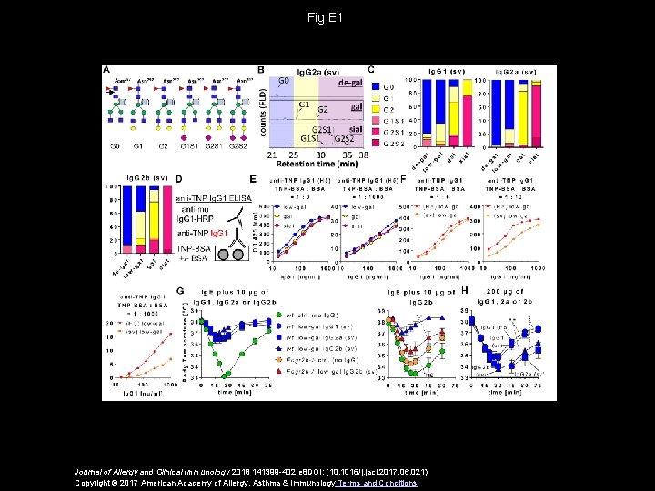 Fig E 1 Journal of Allergy and Clinical Immunology 2018 141399 -402. e 8