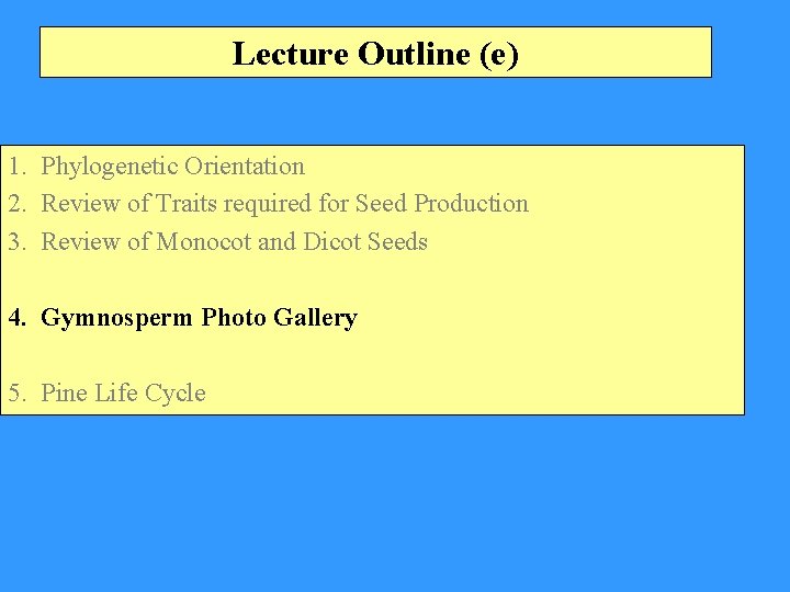 Lecture Outline (e) 1. Phylogenetic Orientation 2. Review of Traits required for Seed Production