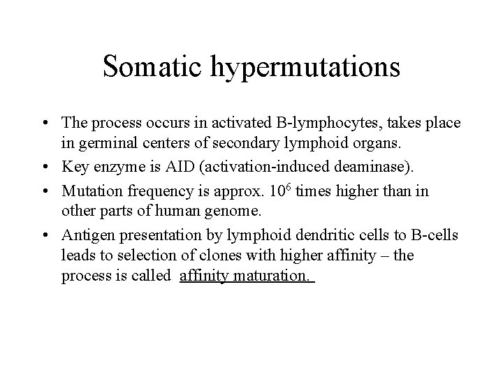 Somatic hypermutations • The process occurs in activated B-lymphocytes, takes place in germinal centers