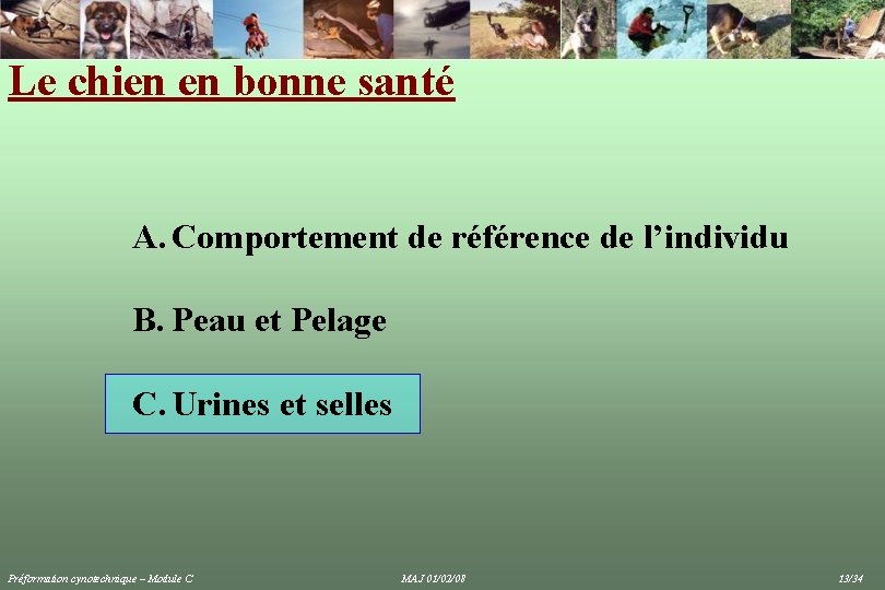 Le chien en bonne santé A. Comportement de référence de l’individu B. Peau et