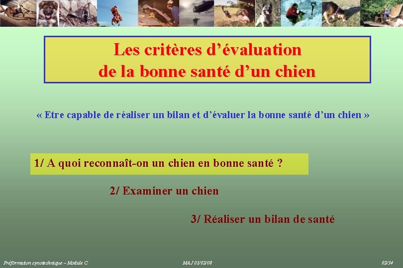 Les critères d’évaluation de la bonne santé d’un chien « Etre capable de réaliser