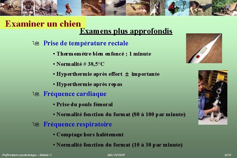 Examiner un chien Examens plus approfondis 9 Prise de température rectale • Thermomètre bien