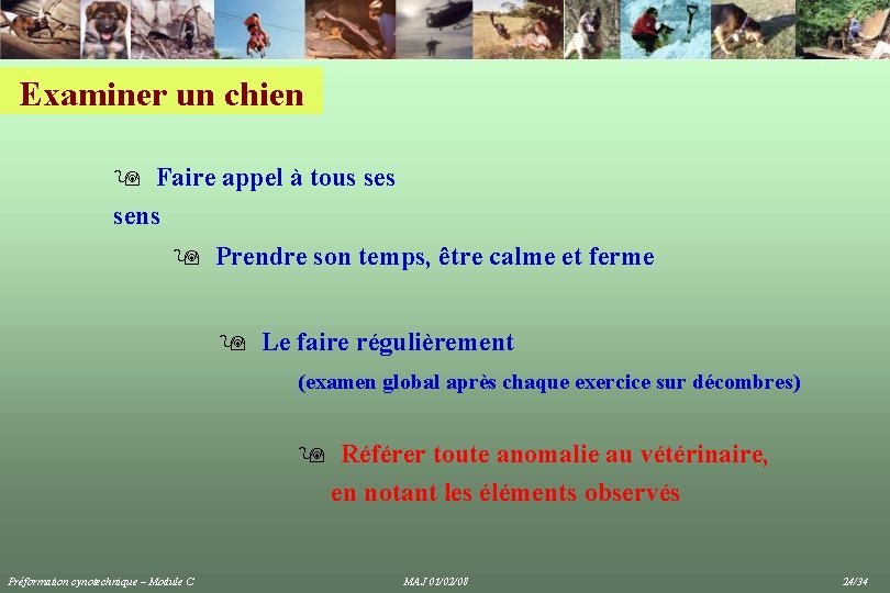 Examiner un chien 9 Faire appel à tous sens 9 Prendre son temps, être