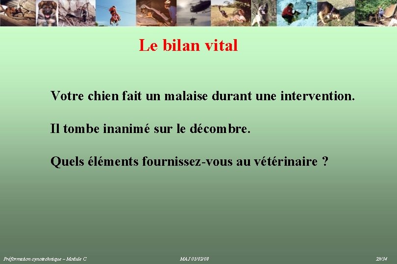 Le bilan vital Votre chien fait un malaise durant une intervention. Il tombe inanimé