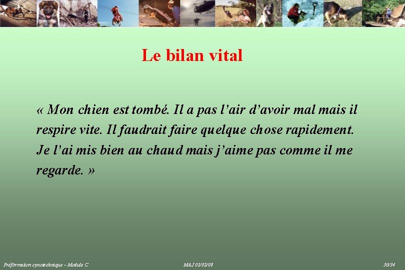 Le bilan vital « Mon chien est tombé. Il a pas l’air d’avoir mal