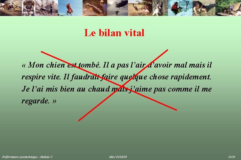 Le bilan vital « Mon chien est tombé. Il a pas l’air d’avoir mal