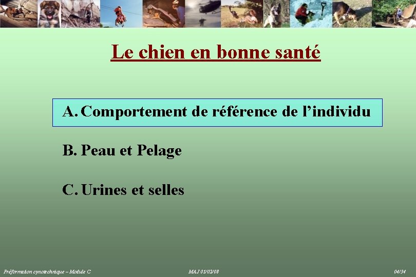 Le chien en bonne santé A. Comportement de référence de l’individu B. Peau et