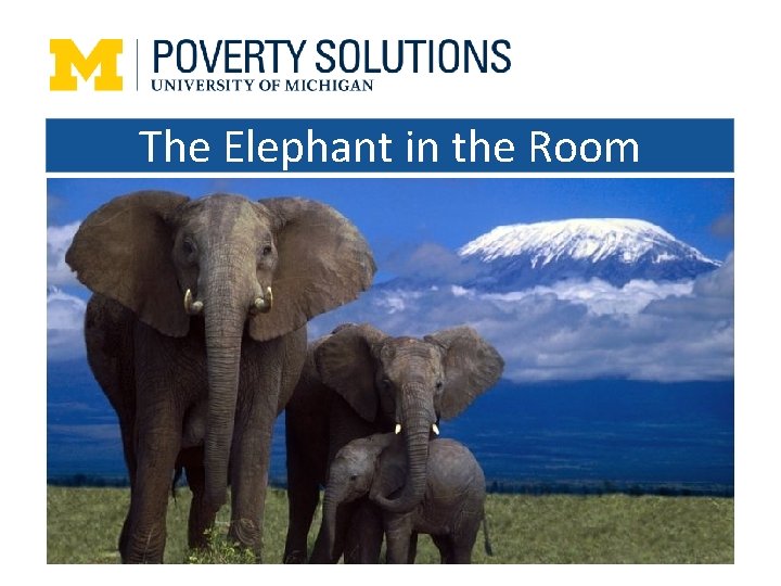 The Elephant in the Room 