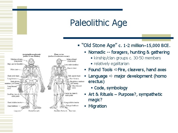 Paleolithic Age § “Old Stone Age” c. 1 -2 million– 15, 000 BCE. §
