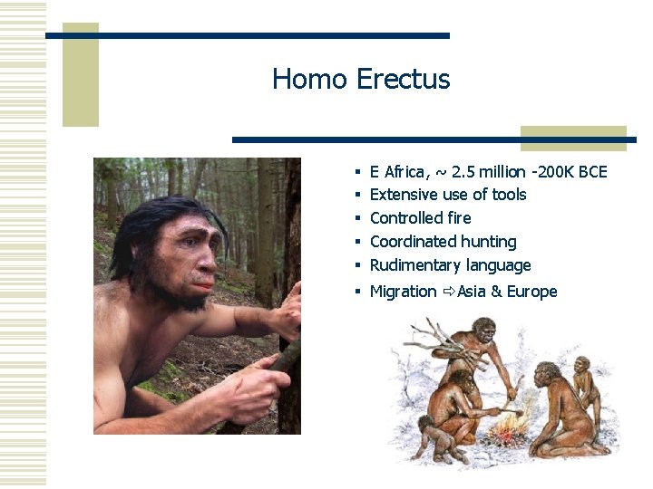 Homo Erectus § § § E Africa, ~ 2. 5 million -200 K BCE