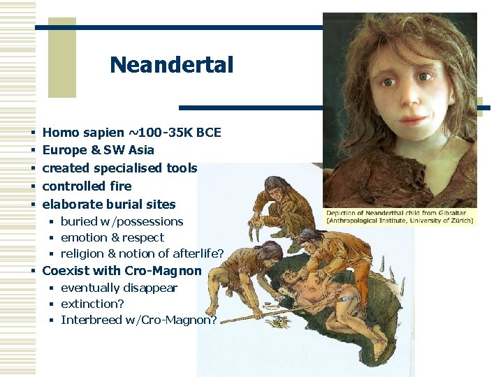 Neandertal § § § Homo sapien ~100 -35 K BCE Europe & SW Asia