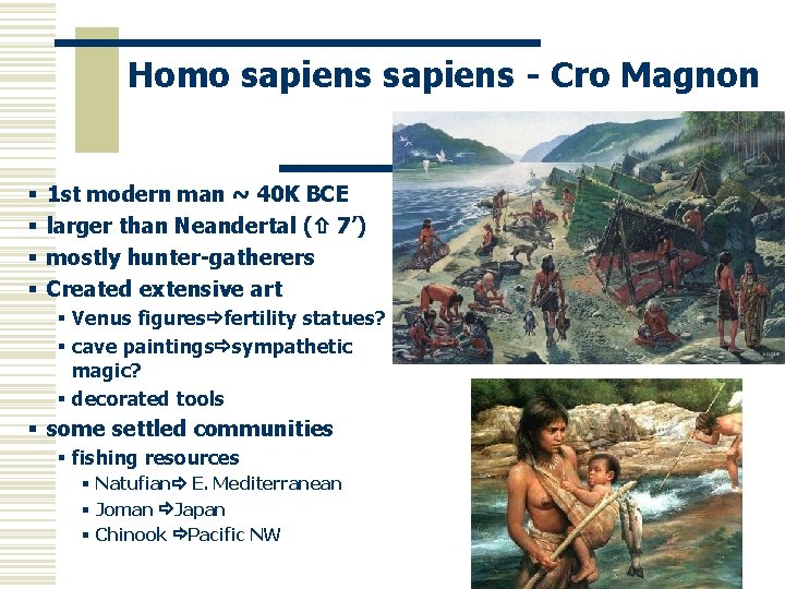 Homo sapiens - Cro Magnon § § 1 st modern man ~ 40 K