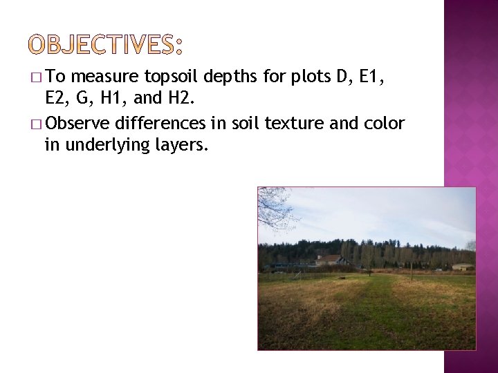 � To measure topsoil depths for plots D, E 1, E 2, G, H
