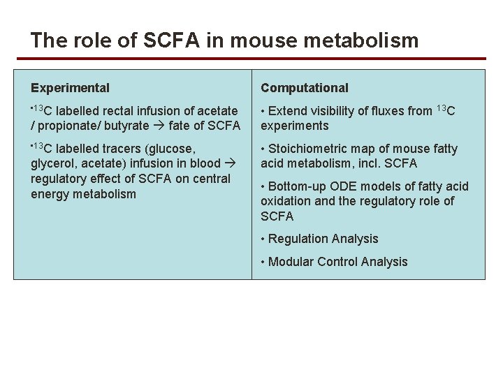 The role of SCFA in mouse metabolism Experimental Computational • 13 C labelled rectal