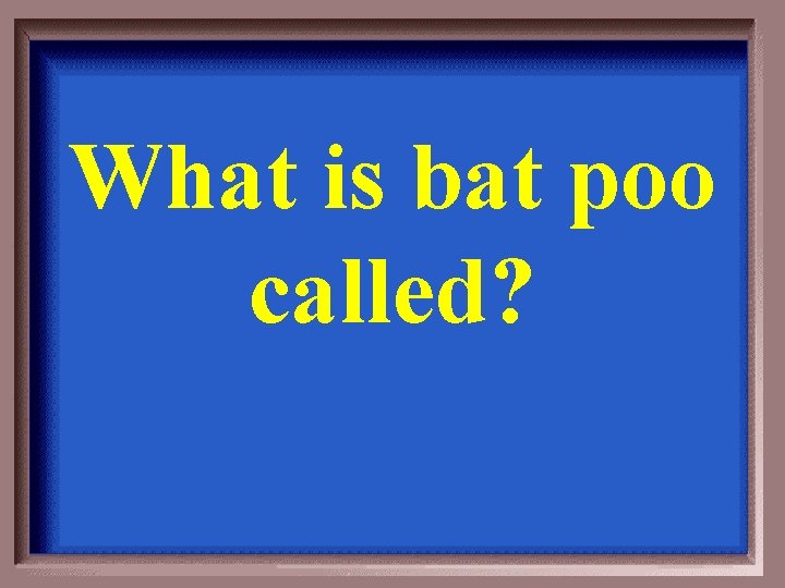 What is bat poo called? 