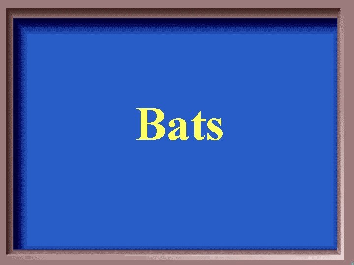 Bats 