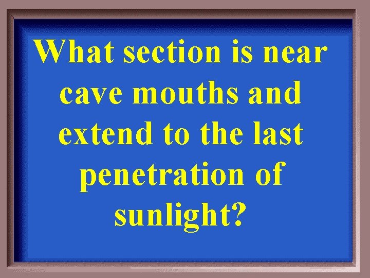 What section is near cave mouths and extend to the last penetration of sunlight?
