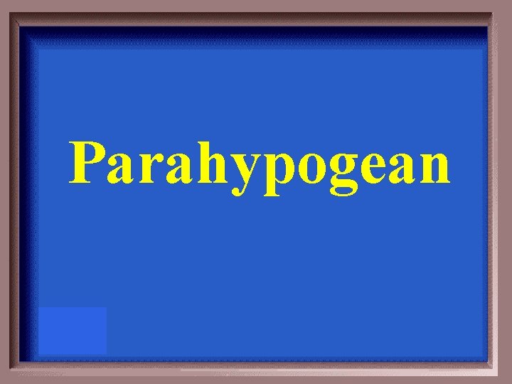 Parahypogean 