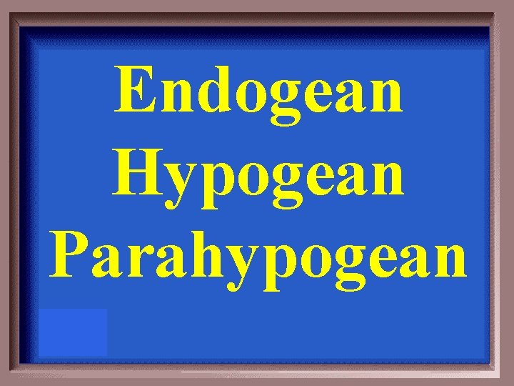 Endogean Hypogean Parahypogean 