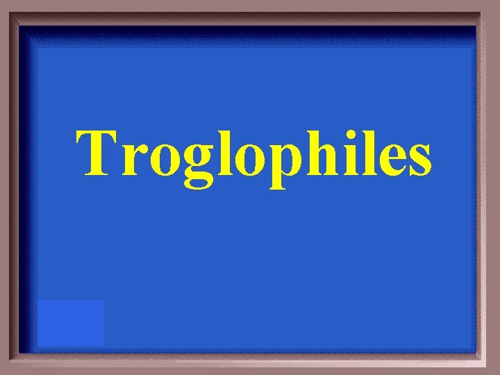 Troglophiles 