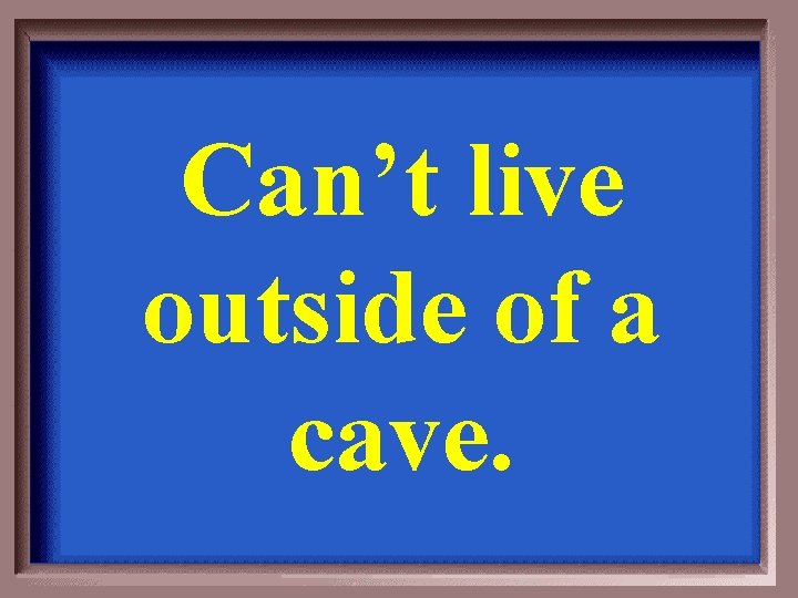 Can’t live outside of a cave. 