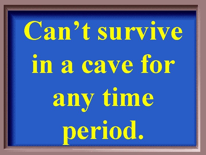 Can’t survive in a cave for any time period. 