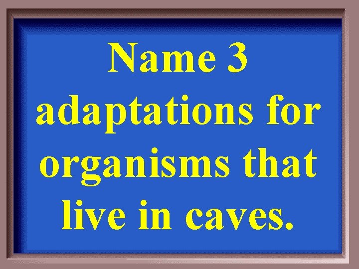 Name 3 adaptations for organisms that live in caves. 