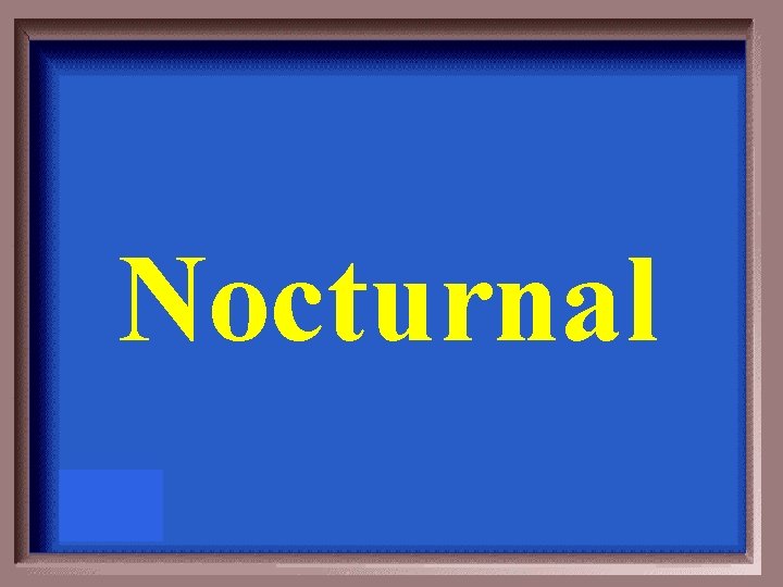 Nocturnal 