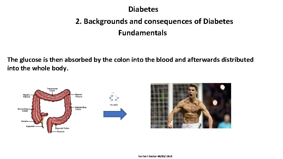 Diabetes 2. Backgrounds and consequences of Diabetes Fundamentals The glucose is then absorbed by