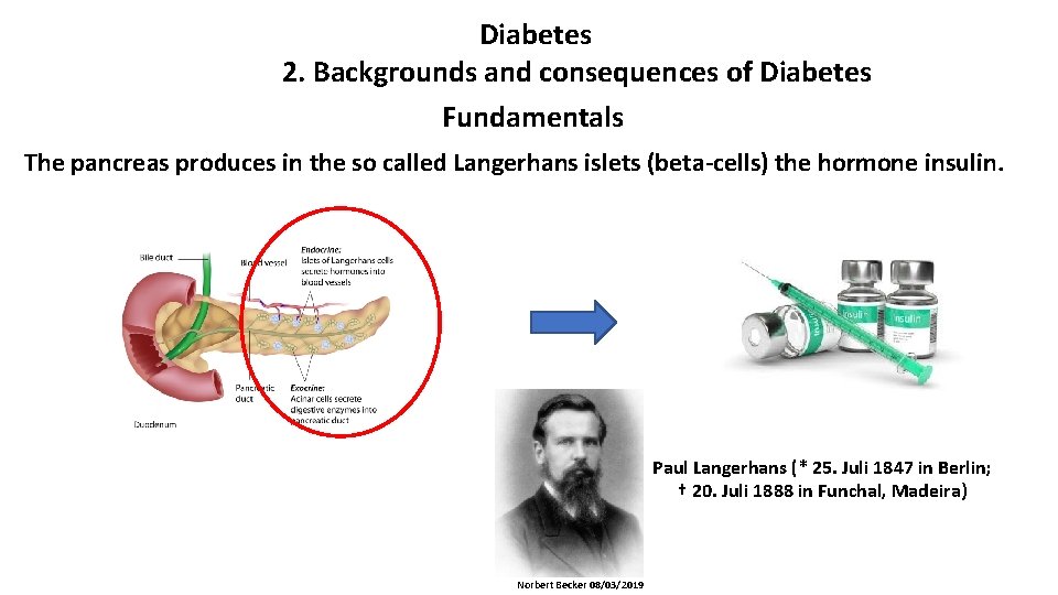 Diabetes 2. Backgrounds and consequences of Diabetes Fundamentals The pancreas produces in the so