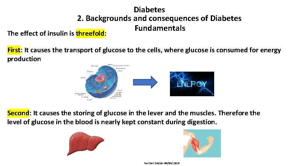 Diabetes 2. Backgrounds and consequences of Diabetes Fundamentals The effect of insulin is threefold: