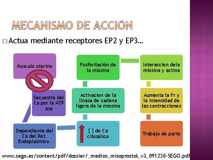 � Actua mediante receptores EP 2 y EP 3… Musculo uterino Secuestro del Ca