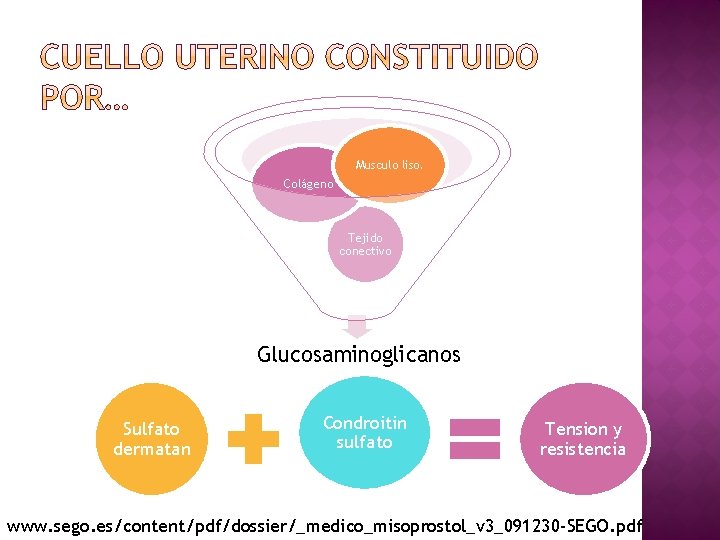 Musculo liso. Colágeno Tejido conectivo Glucosaminoglicanos Sulfato dermatan Condroitin sulfato Tension y resistencia www.