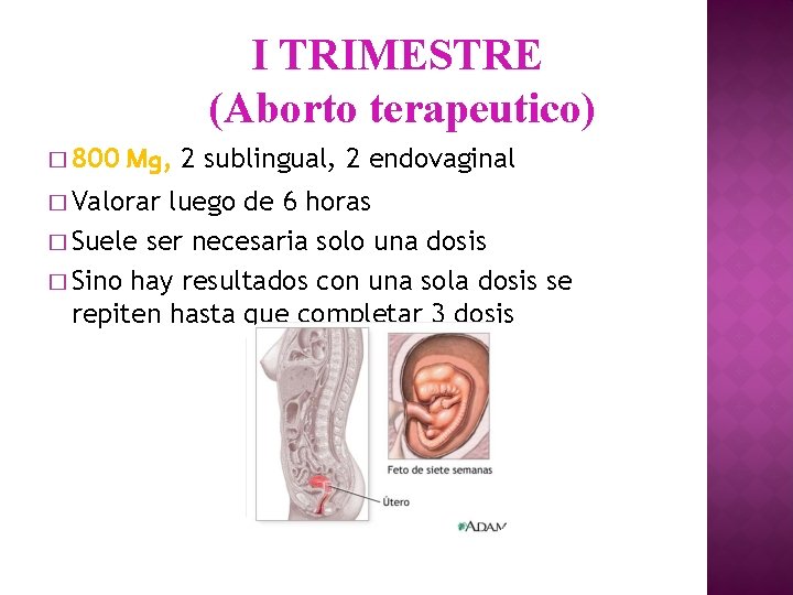 I TRIMESTRE (Aborto terapeutico) � 800 Mg, � Valorar 2 sublingual, 2 endovaginal luego