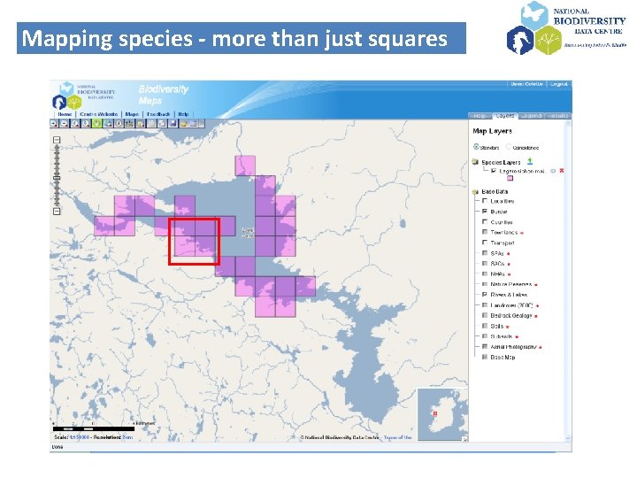 Mapping species - more than just squares 
