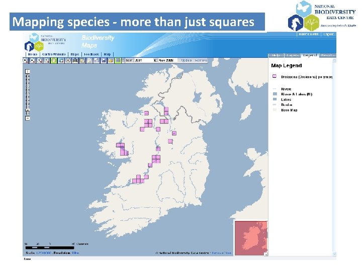Mapping species - more than just squares 