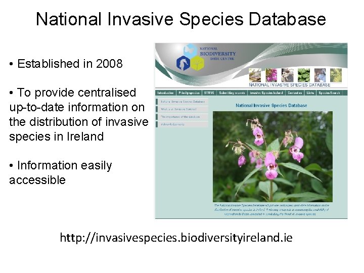National Invasive Species Database • Established in 2008 • To provide centralised up-to-date information