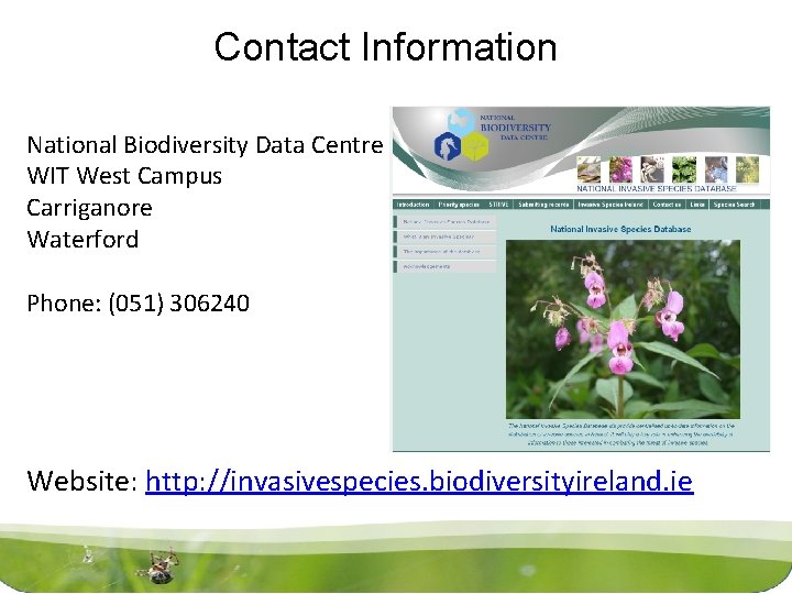 Contact Information National Biodiversity Data Centre WIT West Campus Carriganore Waterford Phone: (051) 306240