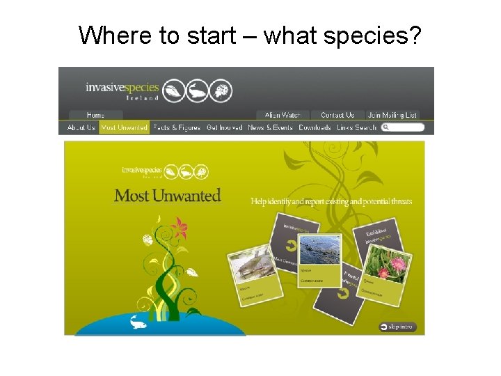 Where to start – what species? 