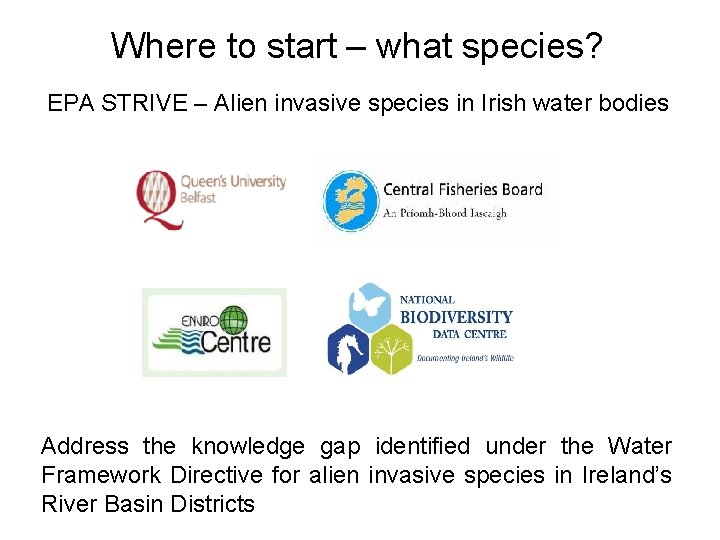 Where to start – what species? EPA STRIVE – Alien invasive species in Irish