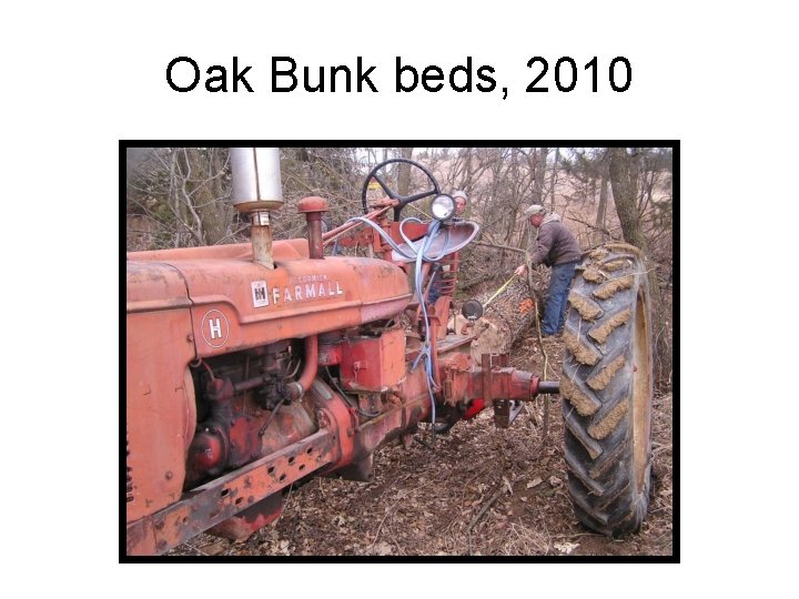 Oak Bunk beds, 2010 