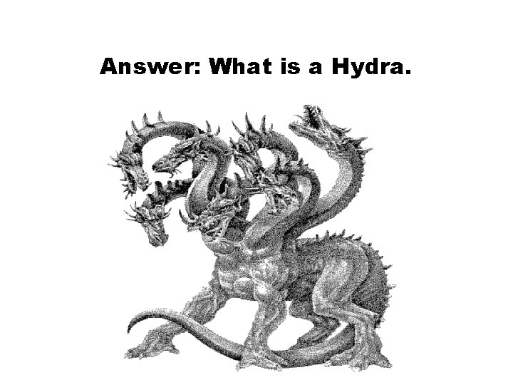 Answer: What is a Hydra. 