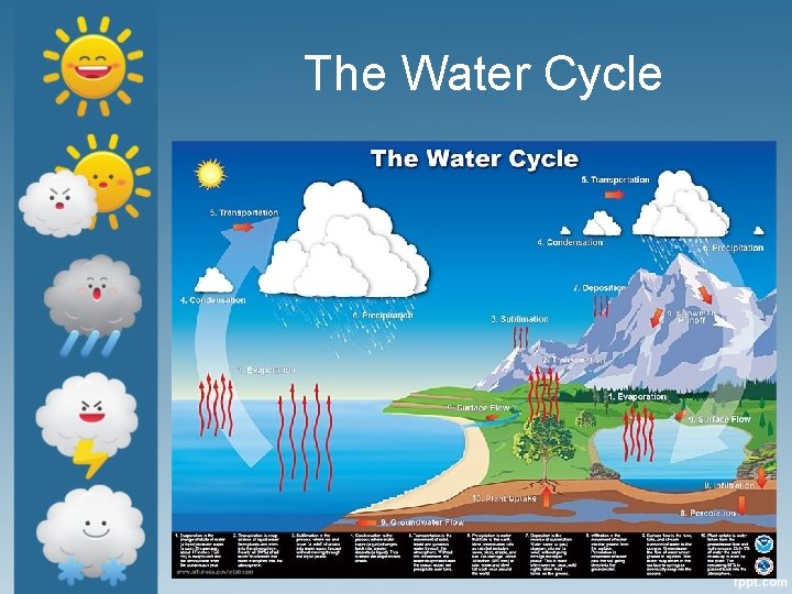 The Water Cycle 