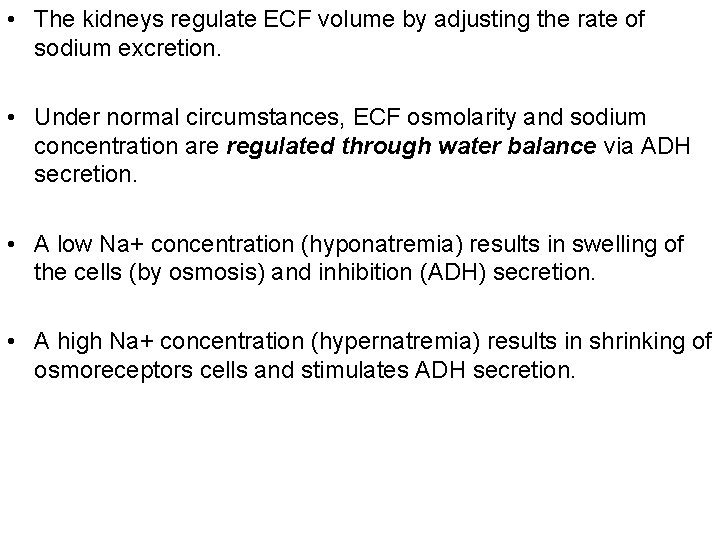  • The kidneys regulate ECF volume by adjusting the rate of sodium excretion.