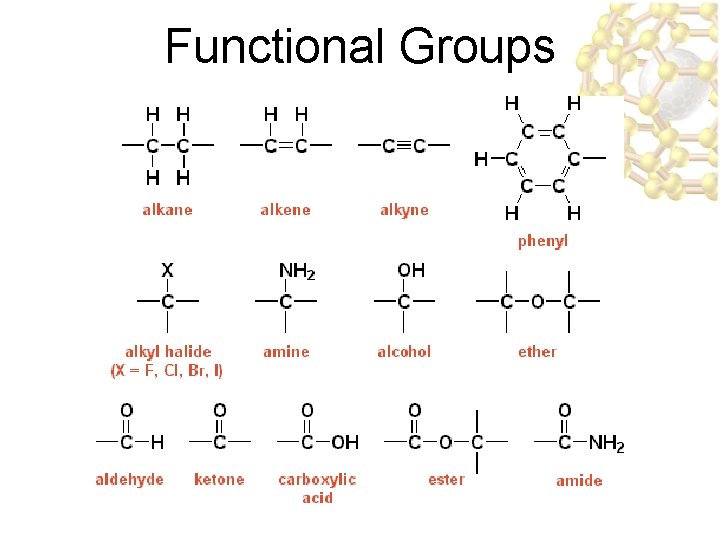 Functional Groups 