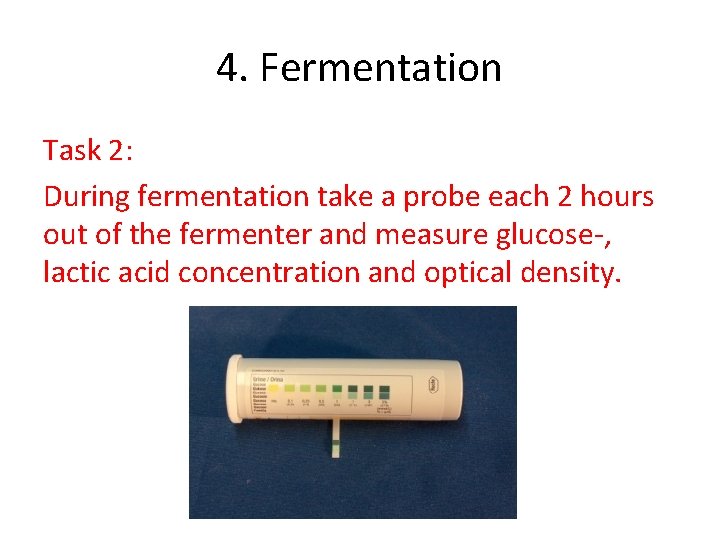 4. Fermentation Task 2: During fermentation take a probe each 2 hours out of